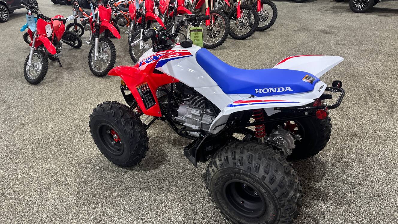 A photo of this 2026 Honda TRX 250X