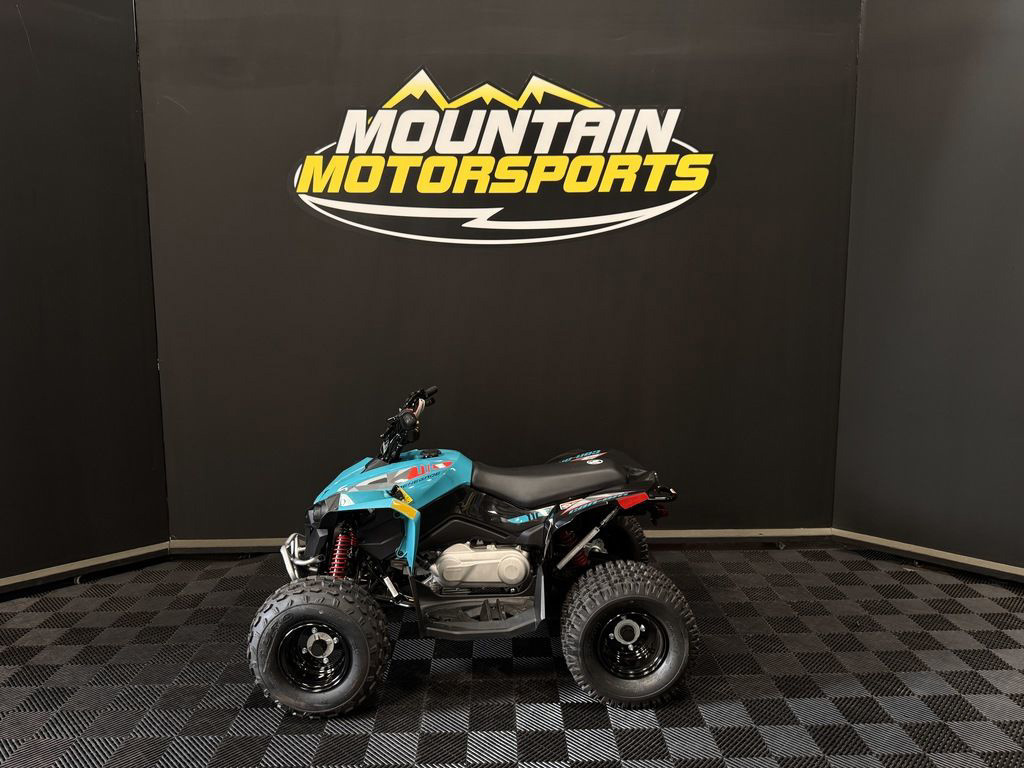 2026 Can-Am Renegade 110 EFI in lithia springs GA
