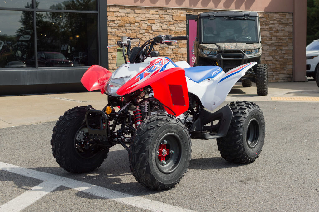 2026 Honda® TRX250X in dunmore PA