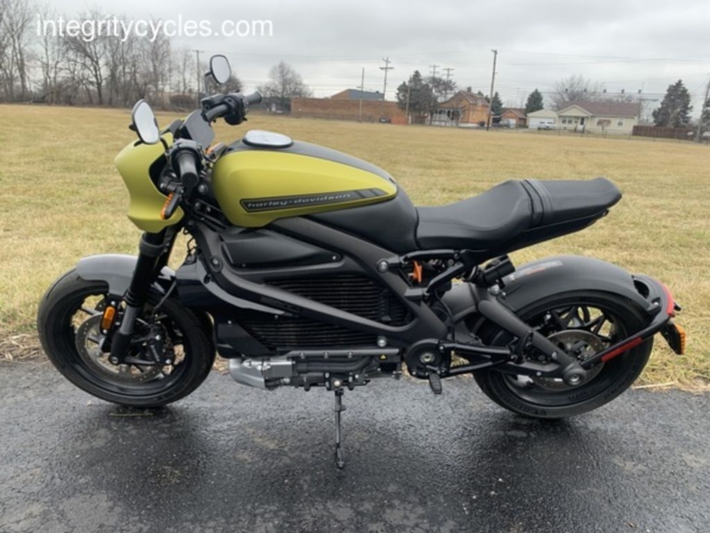 2020 Harley-Davidson® ELW - LiveWire ELW in Lewis Center, OH