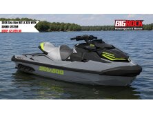 What You Need to Know About PWCs image