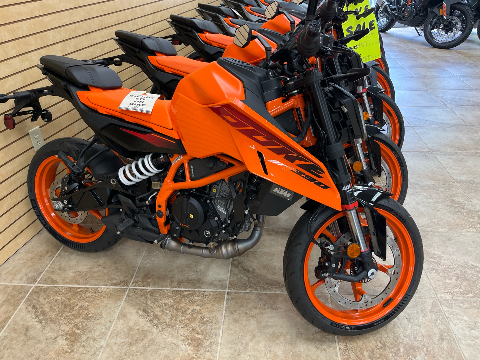 2024 KTM 390 Duke DUKE in Berkeley Springs, WV