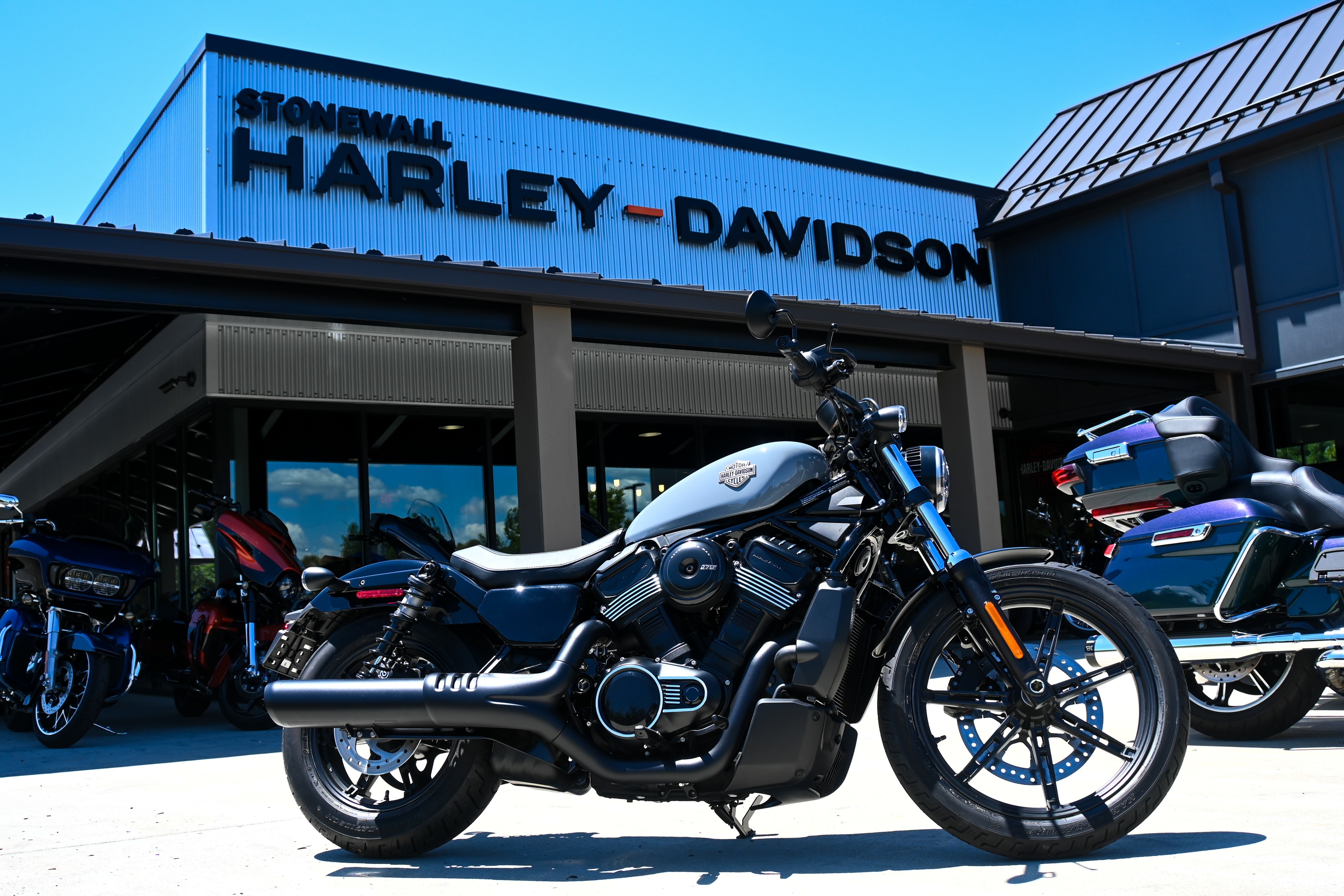 2026 Harley-Davidson Nightster® in Ruckersville, VA