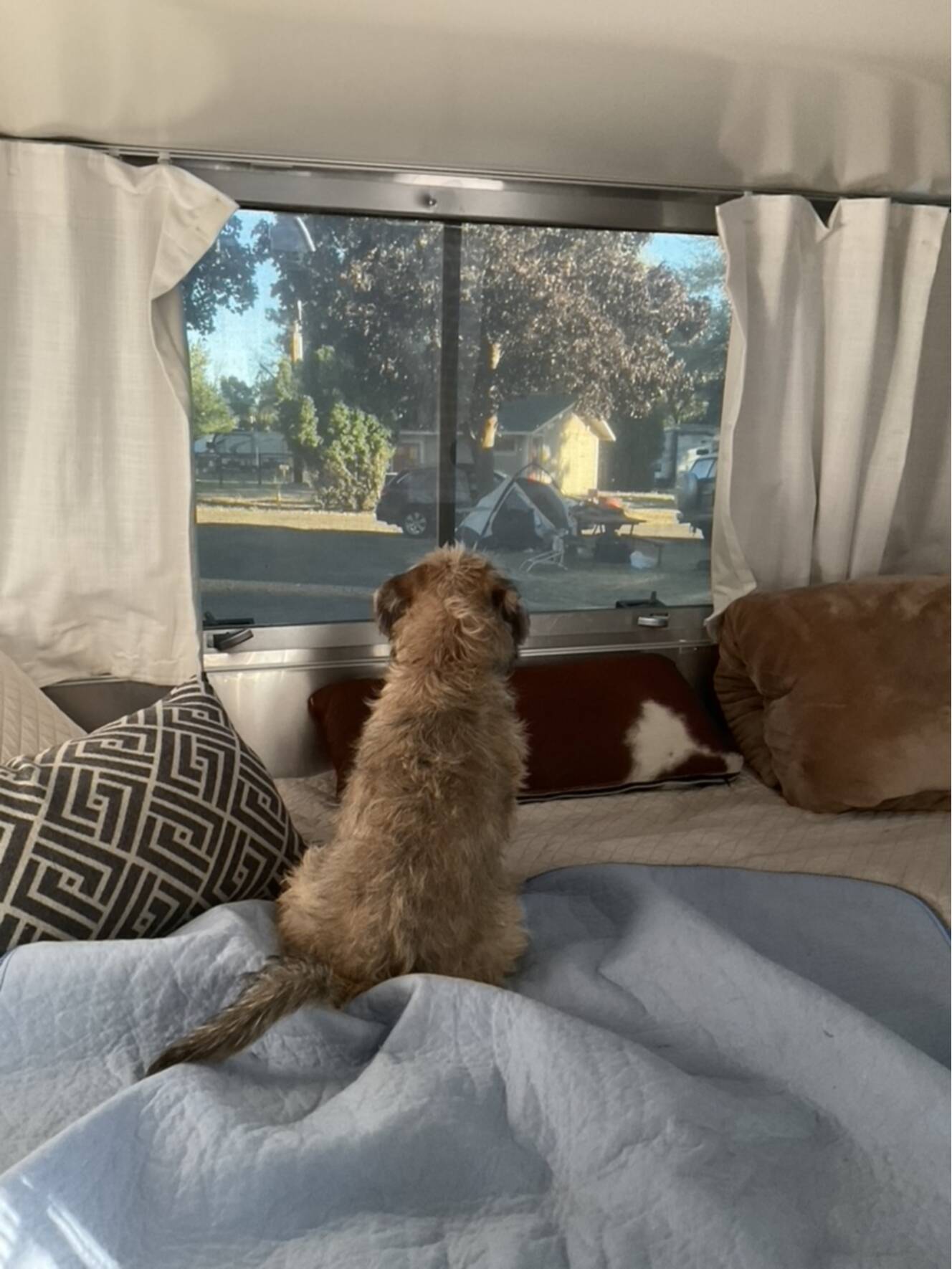 A photo of this 2021 Airstream CARAVEL 20FB