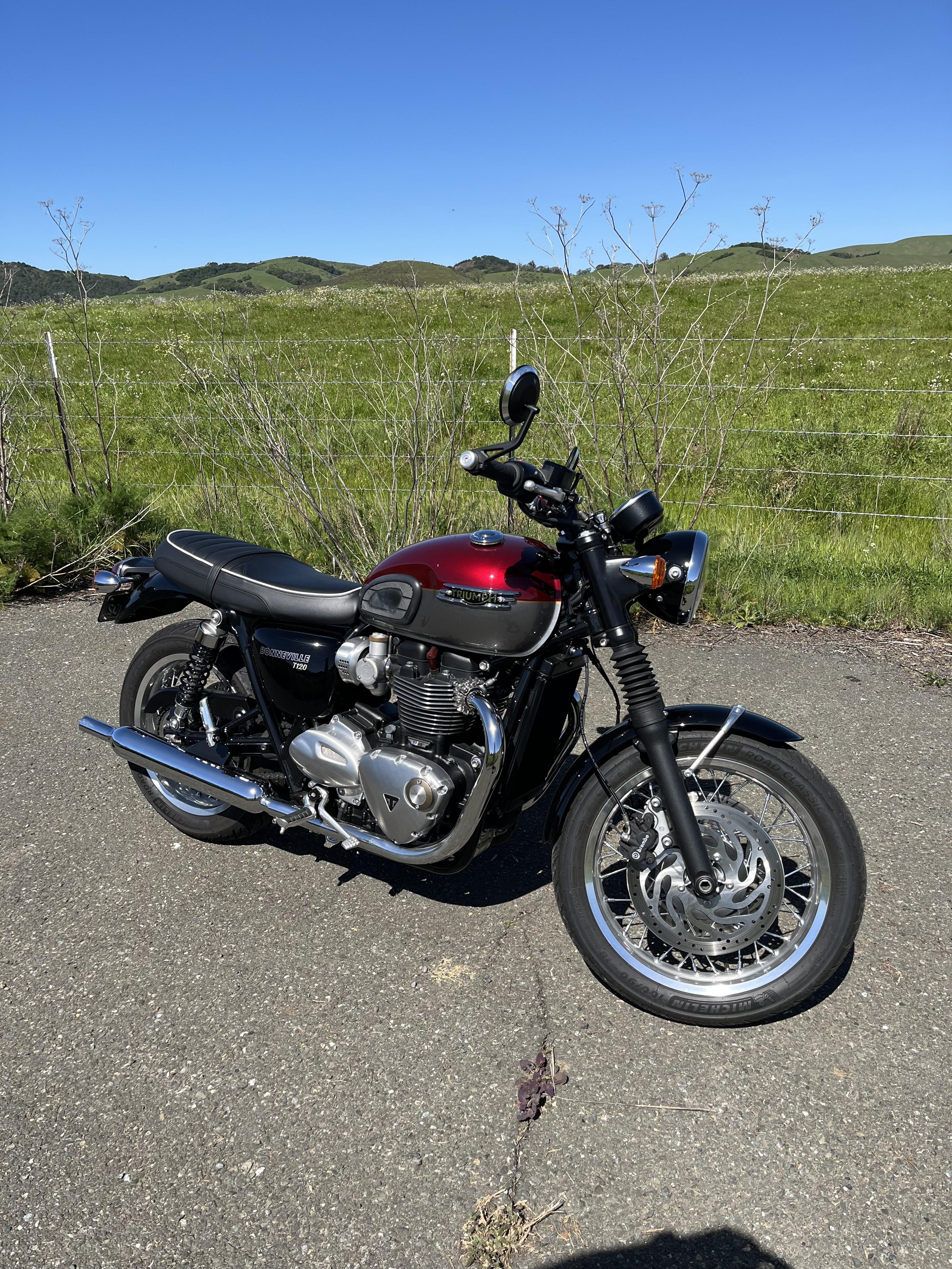 2023 Triumph BONNEVILLE T120 BASE BASE in Novato, CA