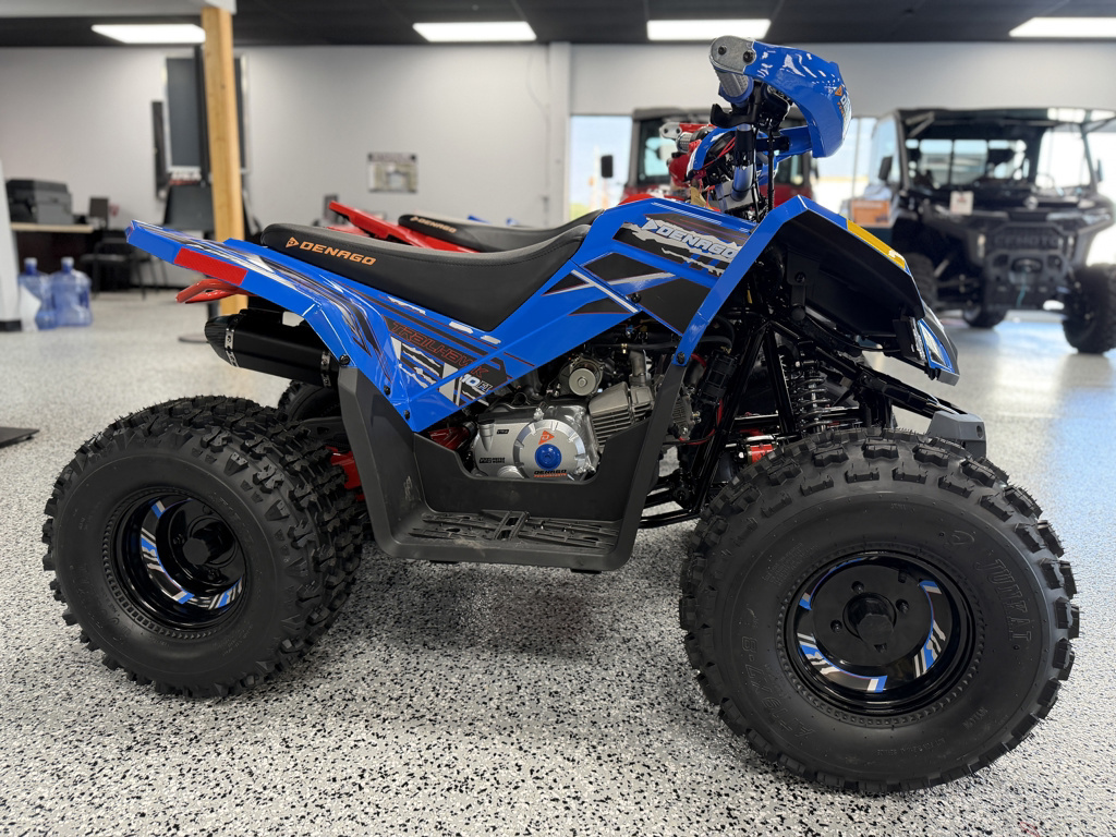 2026 Denago TRAILHAWK10FI Youth ATV
