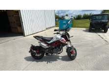 Tips for Buying a Hitch-Mounted Minibike image