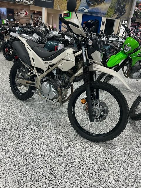 2026 Kawasaki KLX®230 SHERPA S ABS 230 S ABS in Newfield, NJ
