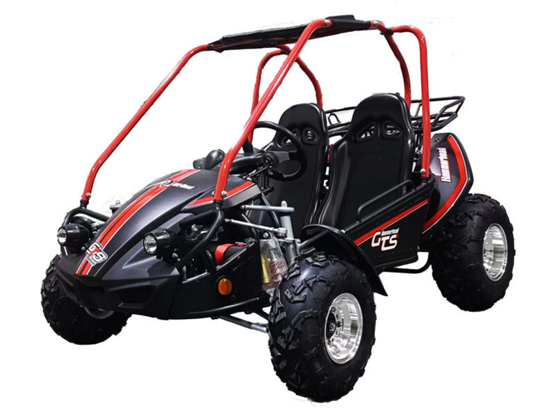 2026 Hammerhead Off-Road GTS Platinum in hoschton GA