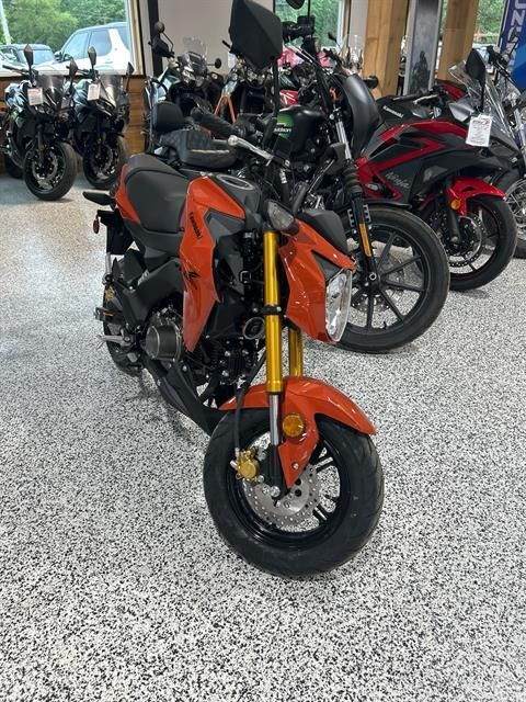 2025 Kawasaki Z125 Pro BASE in Newfield, NJ