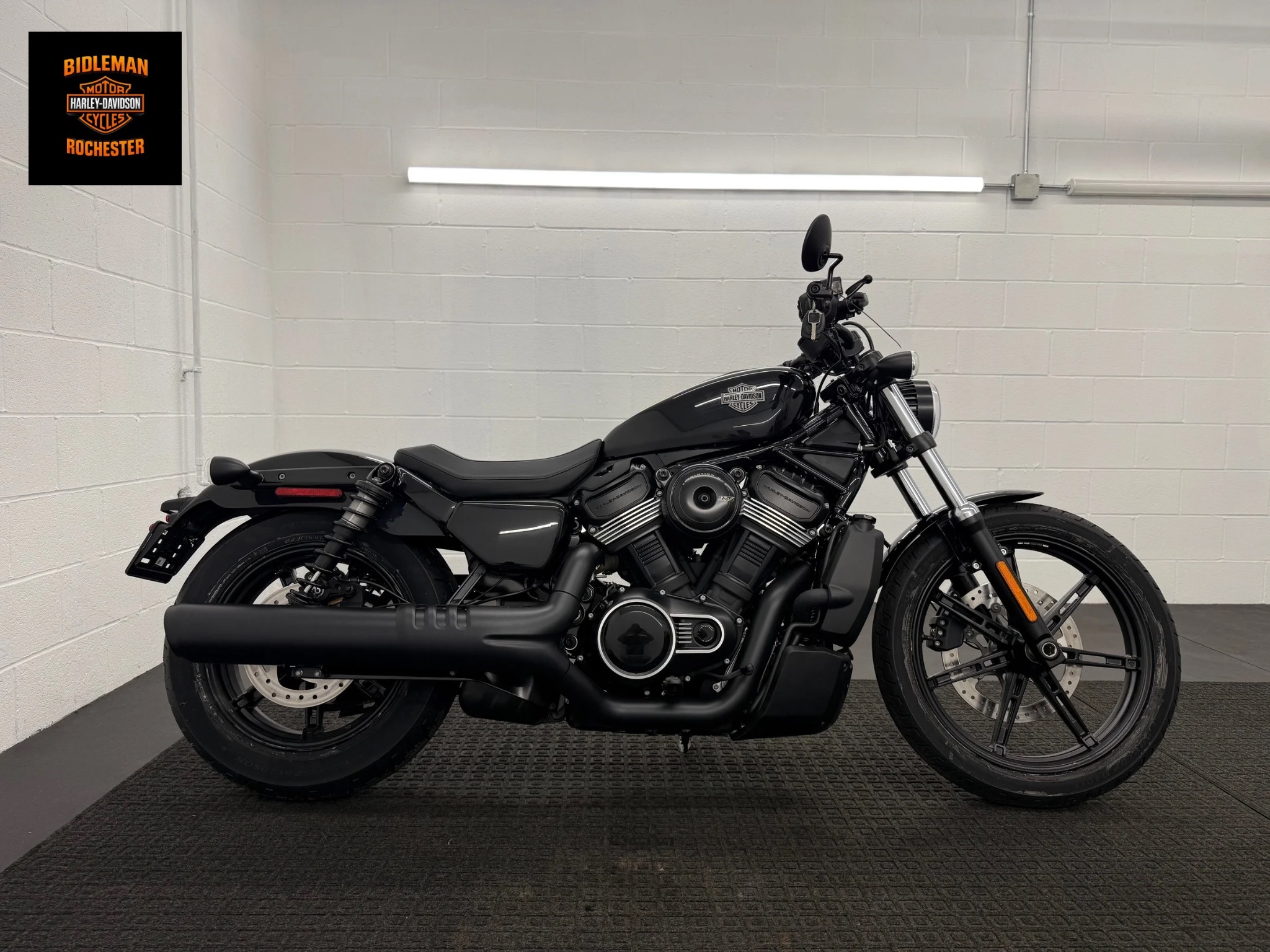 2026 Harley-Davidson Nightster® in Rochester, NY