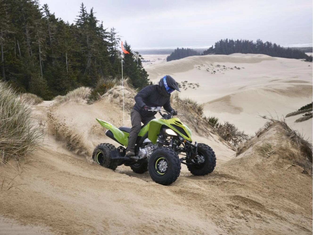 A photo of this 2026 Yamaha Raptor 700R SE