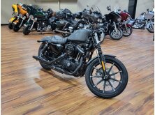 Motorcycle Profile of the Month: Harley-Davidson Sportster image