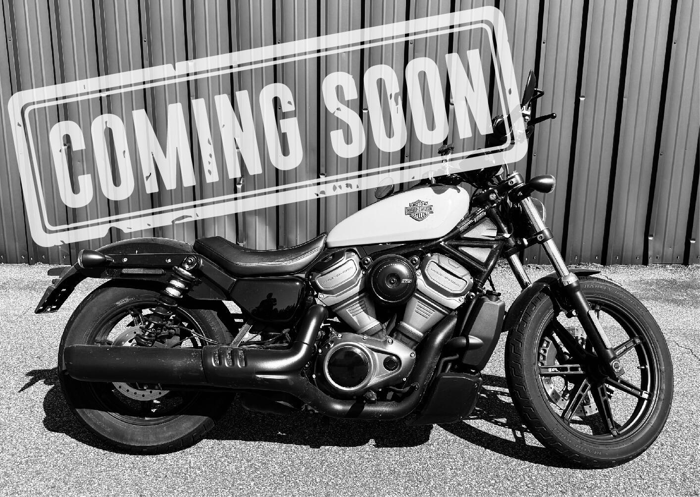 2024 Harley-Davidson Nightster in Statesville, NC