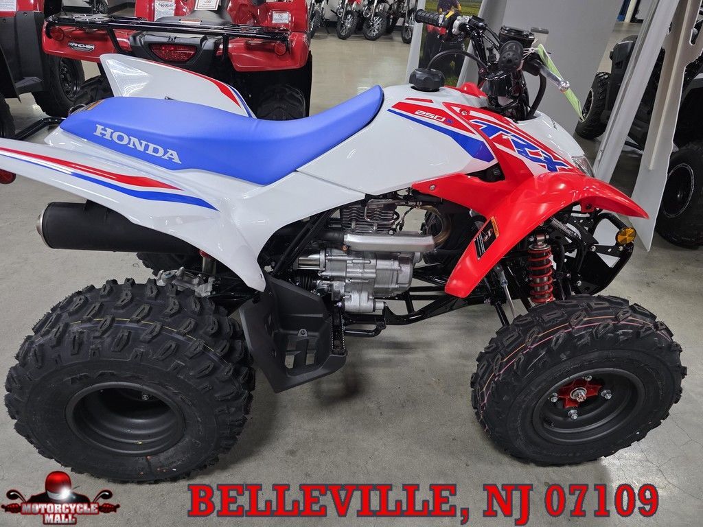 2026 Honda® TRX250X in belleville NJ