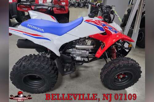 2026 Honda® TRX250X in belleville NJ