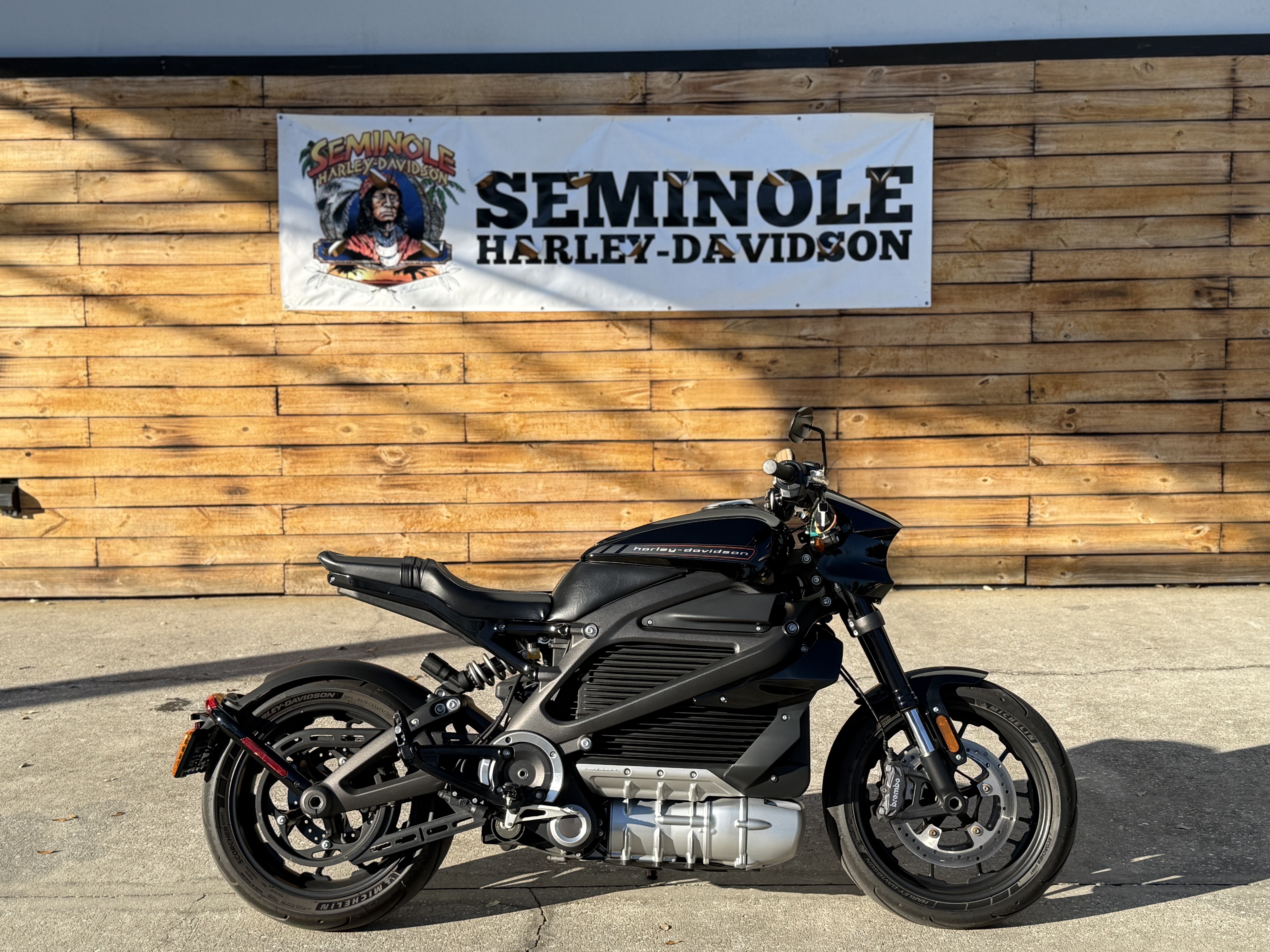 2020 Harley-Davidson Livewire™ in Sanford, FL