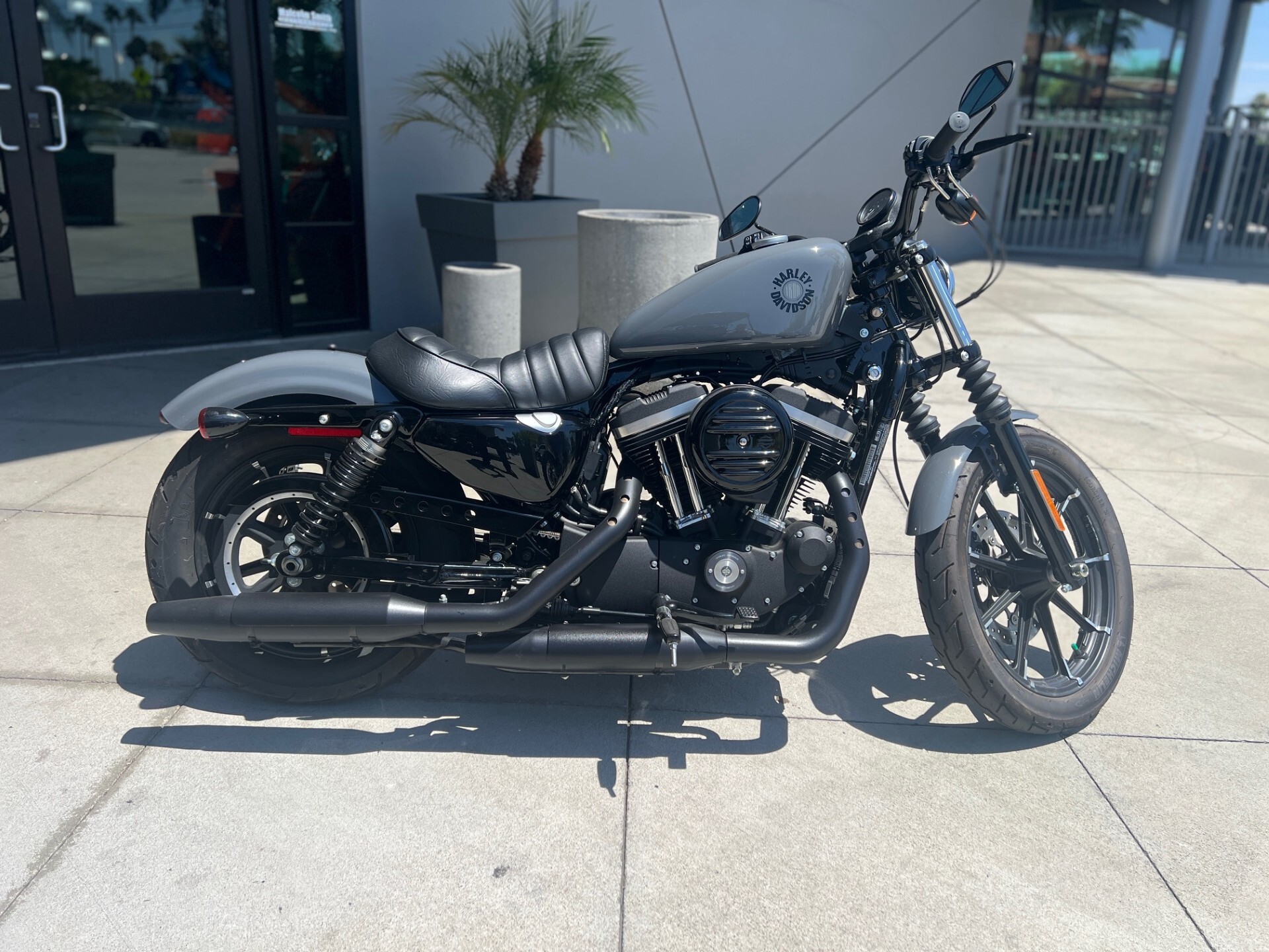 2022 Harley-Davidson Sportster Iron 883 in Riverside, CA