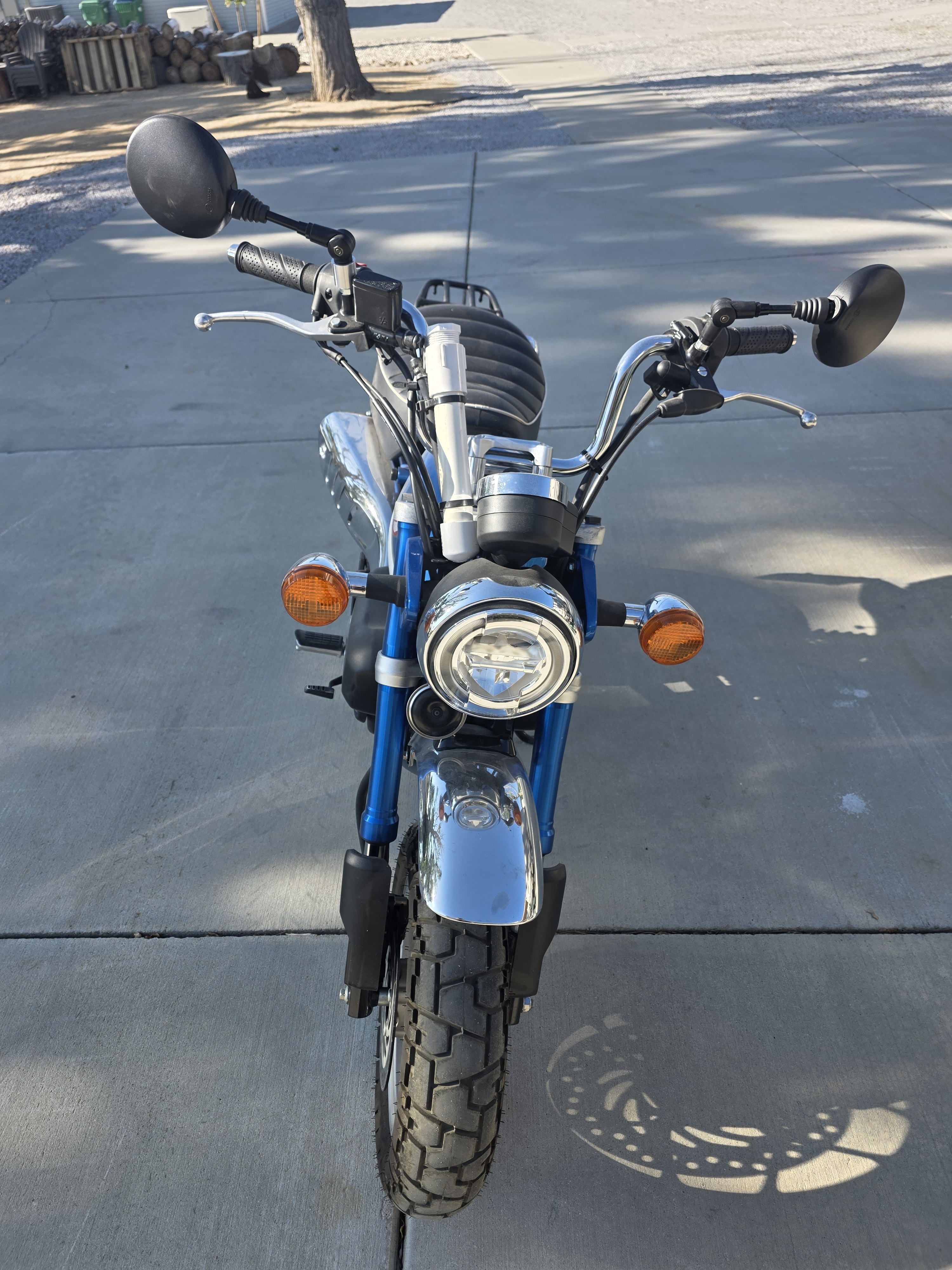 2020 Honda MONKEY 125 125 in Truckee, CA