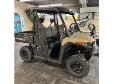 2026 Denago RanchHawk 650FI 4×4 First Ride image