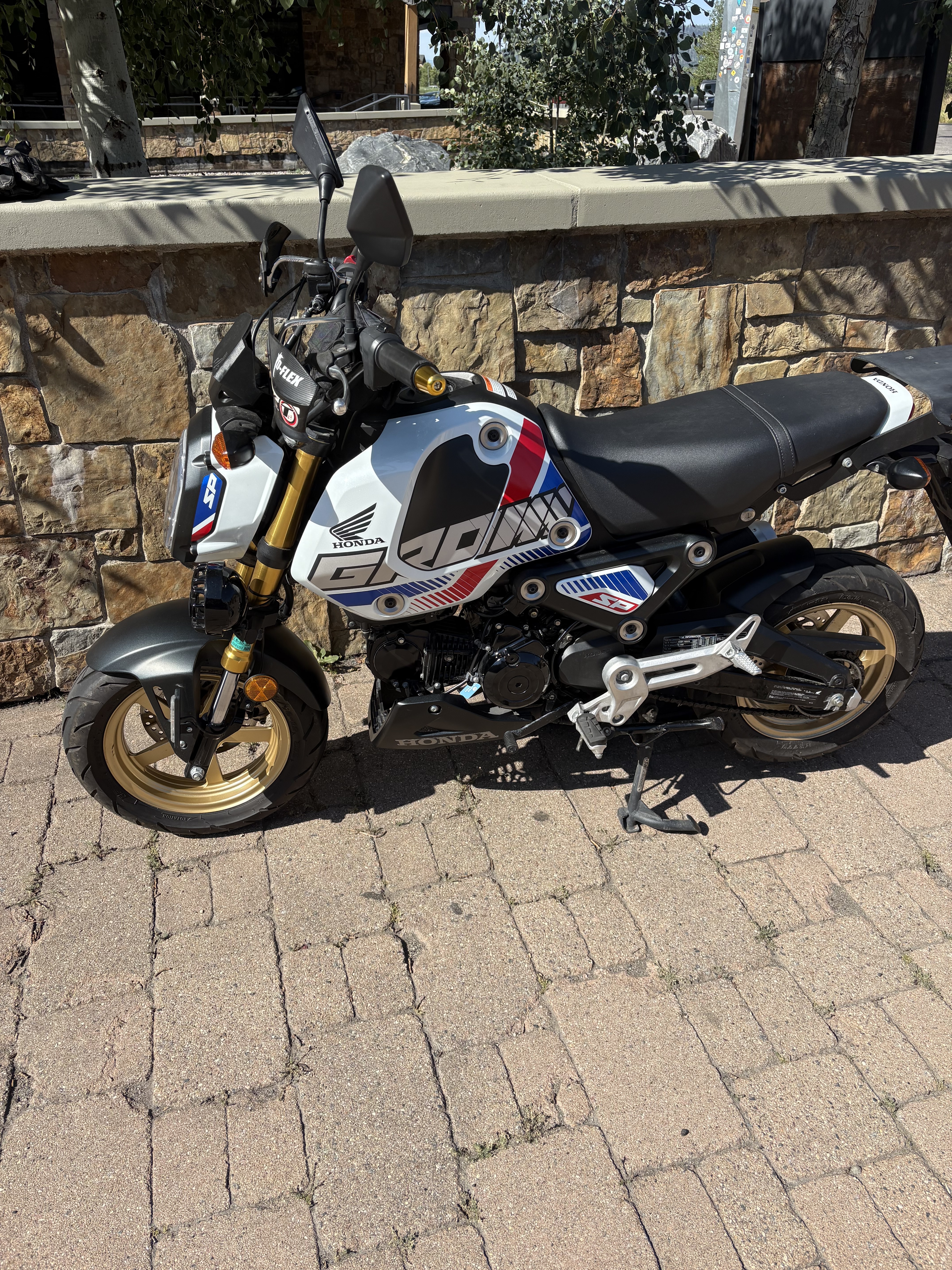 2022 Honda GROM 125 125 in Steamboat Springs, CO