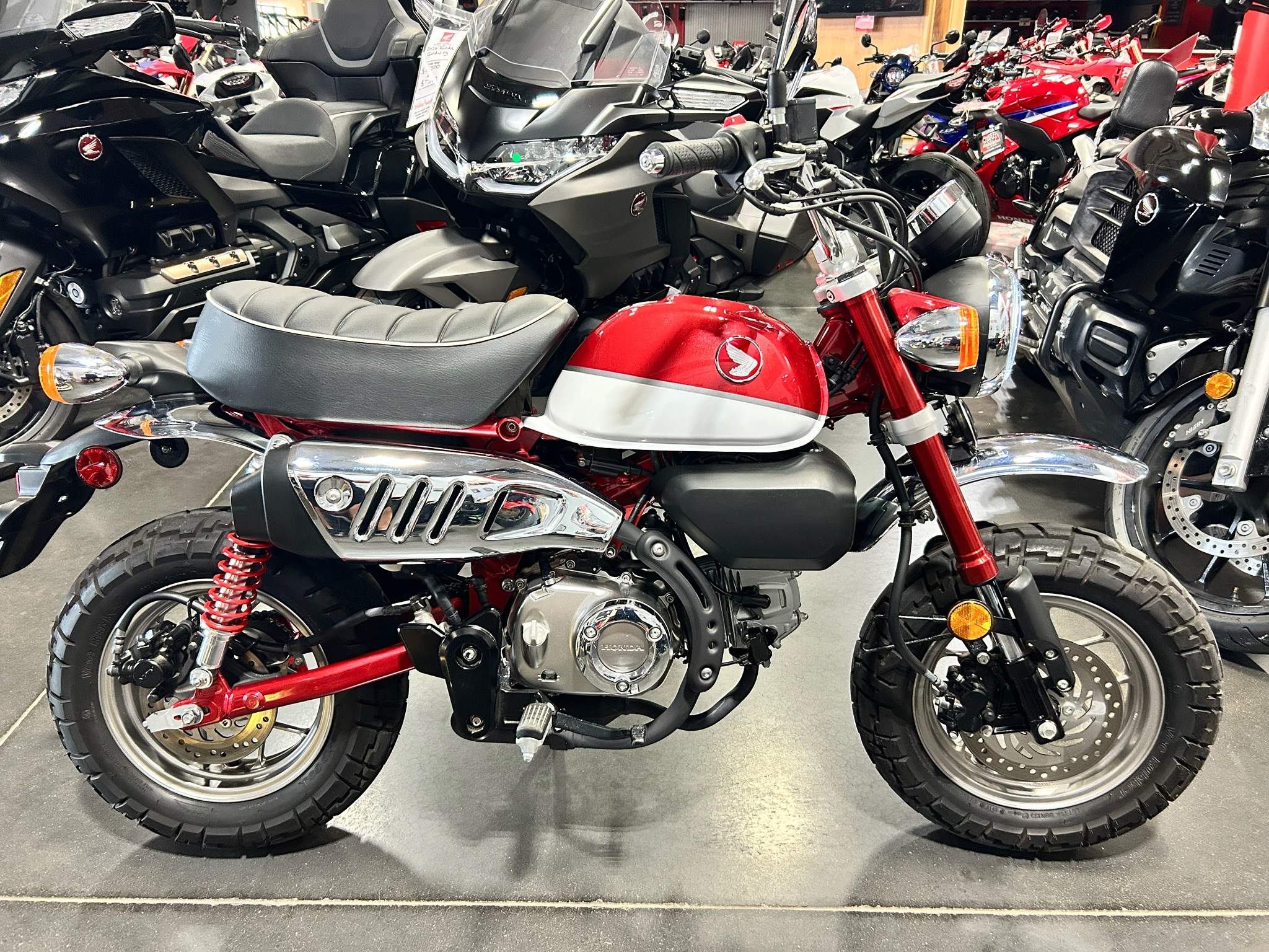 2019 Honda Monkey in Mentor, OH