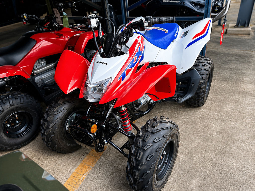 2026 Honda® TRX250X in covington LA