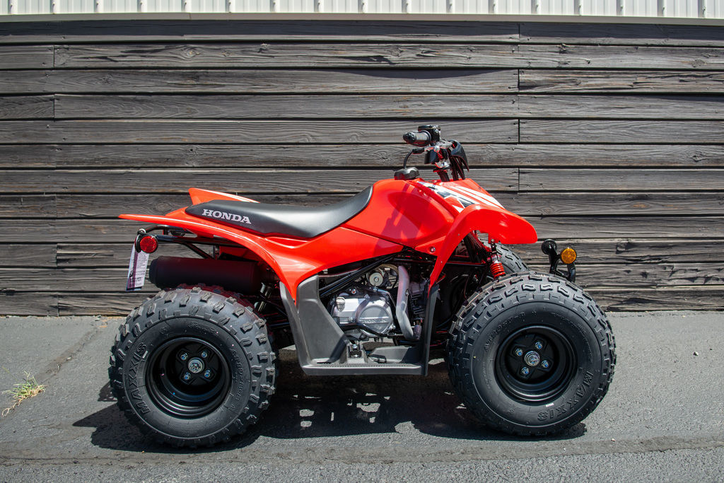2026 Honda® TRX90X in waynesboro VA
