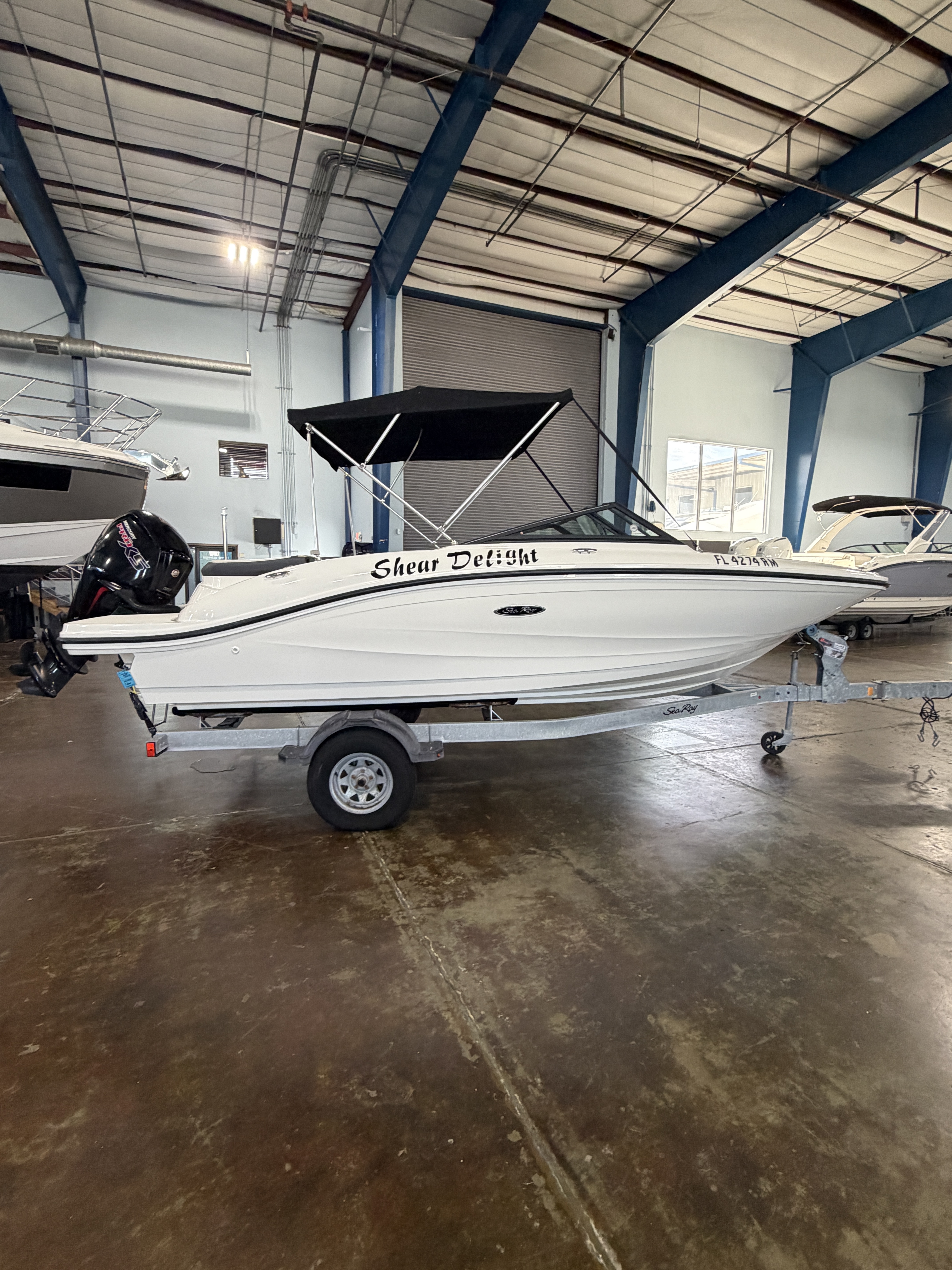 2018 Sea Ray 190 SPX OB 230 OUTBOARD in clearwater FL