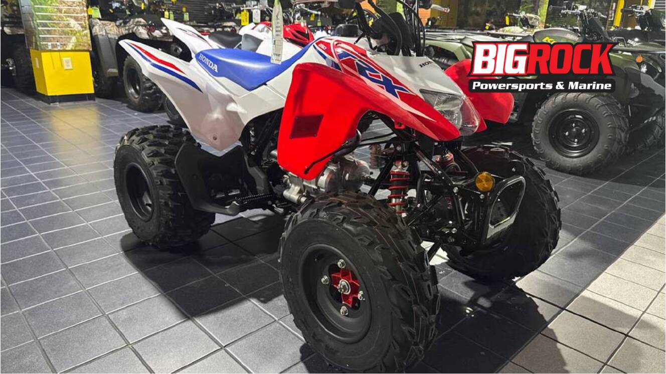 A photo of this 2026 Honda TRX250X
