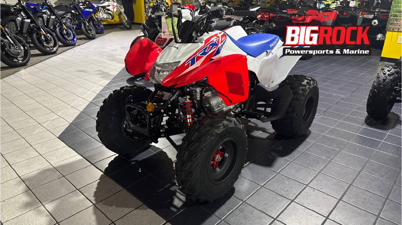 A photo of this 2026 Honda TRX250X