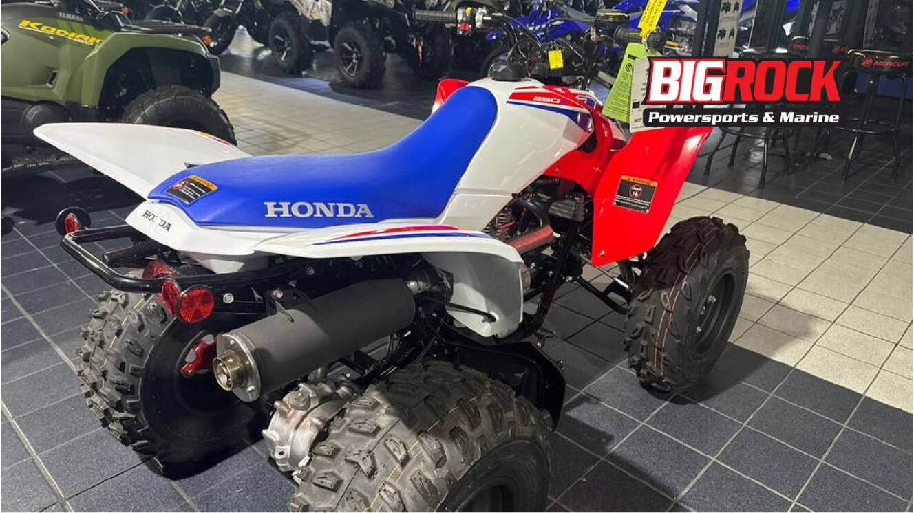 A photo of this 2026 Honda TRX250X
