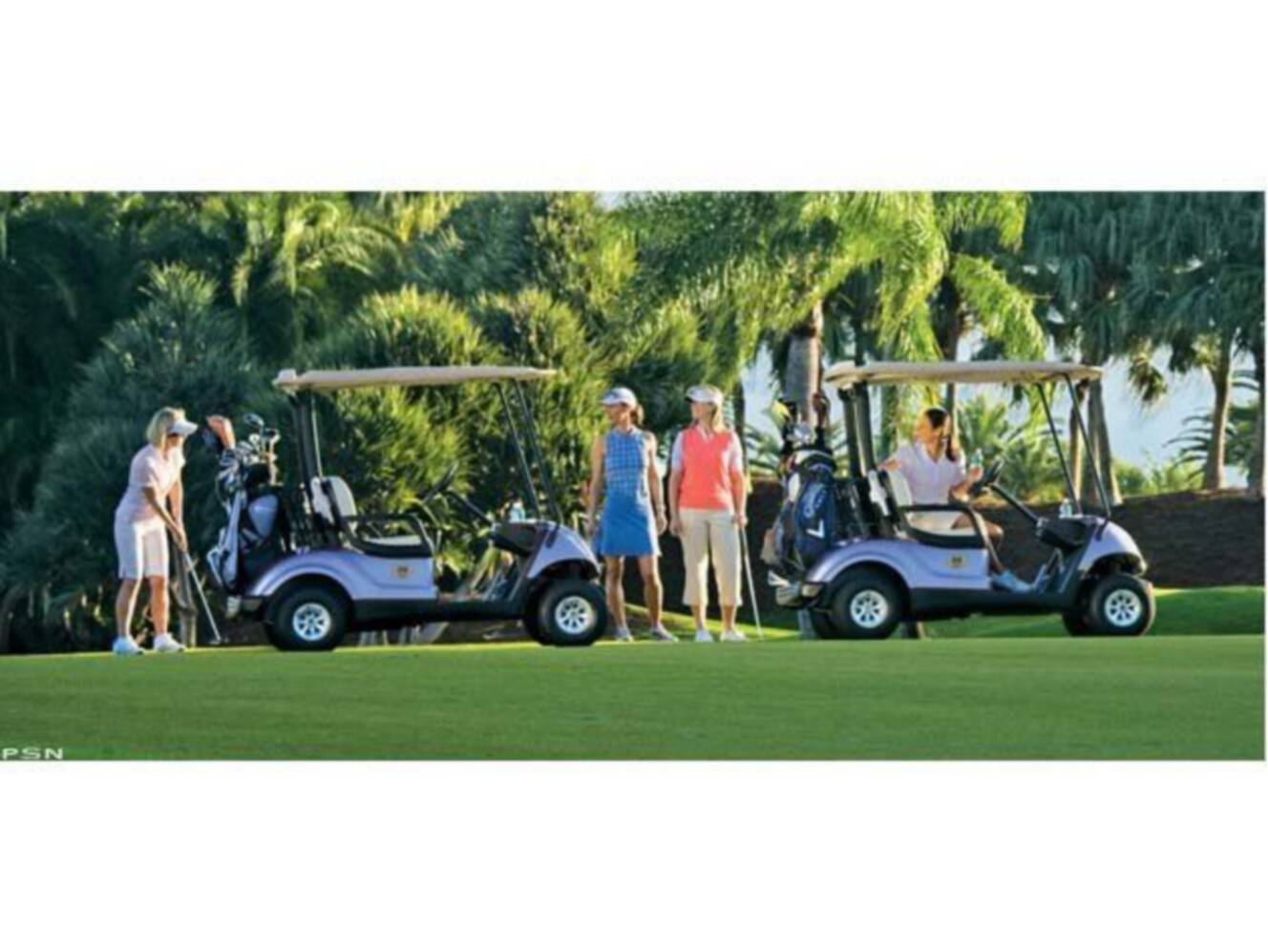 A photo of this 2011 Yamaha The Drive® Electric