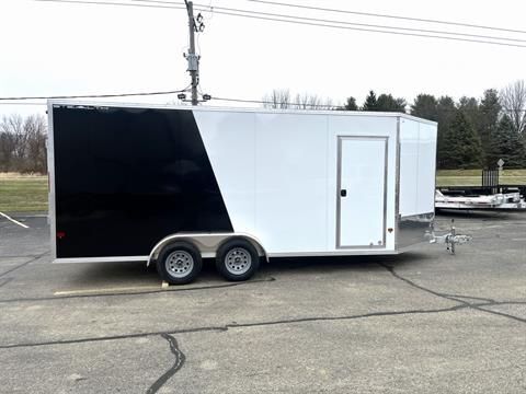 2025 Stealth Trailers 7X18 SNOW in belvidere IL