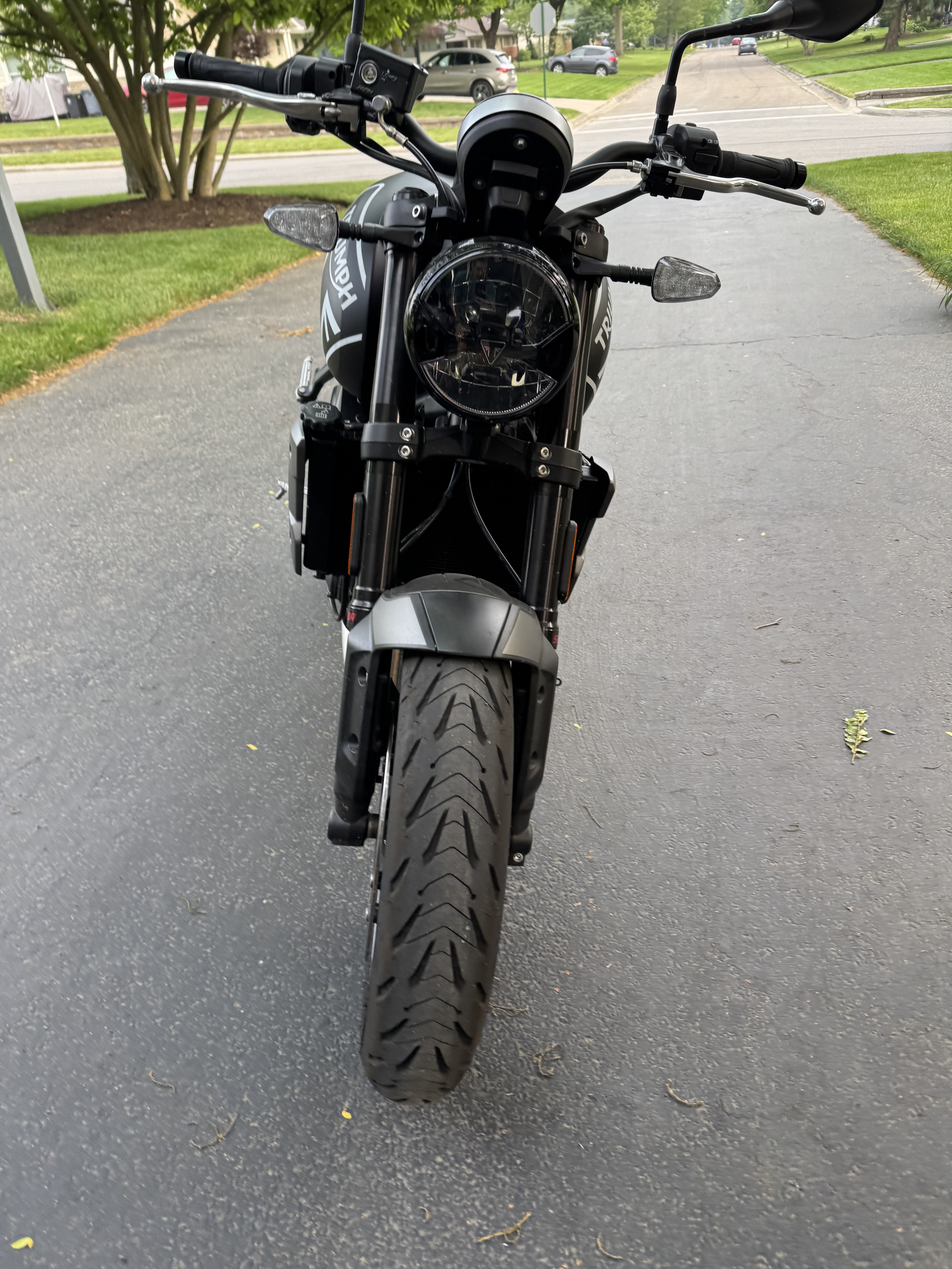 2023 Triumph TRIDENT 660 660 in Columbus, OH
