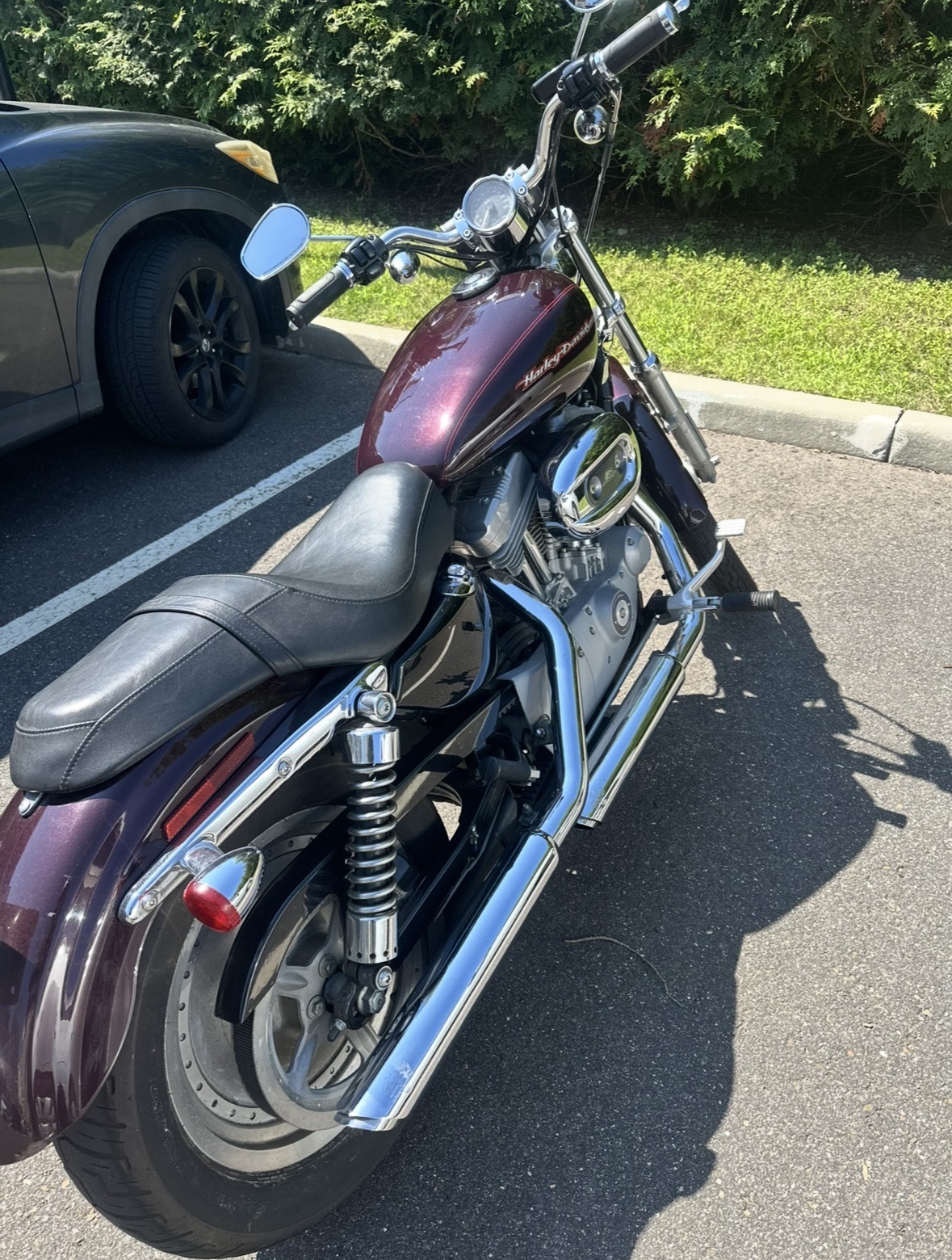 2005 Harley-Davidson SPORTSTER 883 CUSTOM CUSTOM in Fairfield, CT
