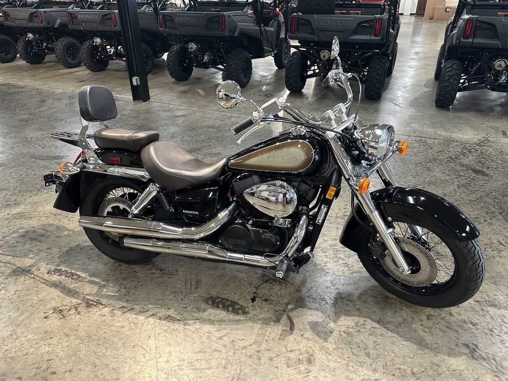 2024 Honda Shadow Aero AERO in Asheboro, NC