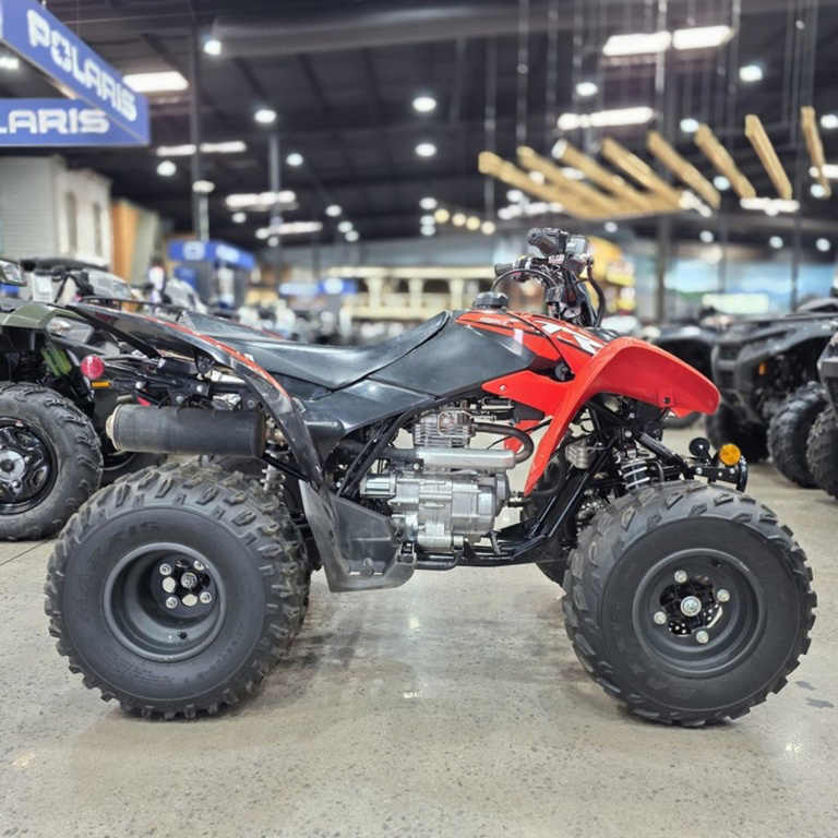 2024 Honda TRX 250X in conyers GA