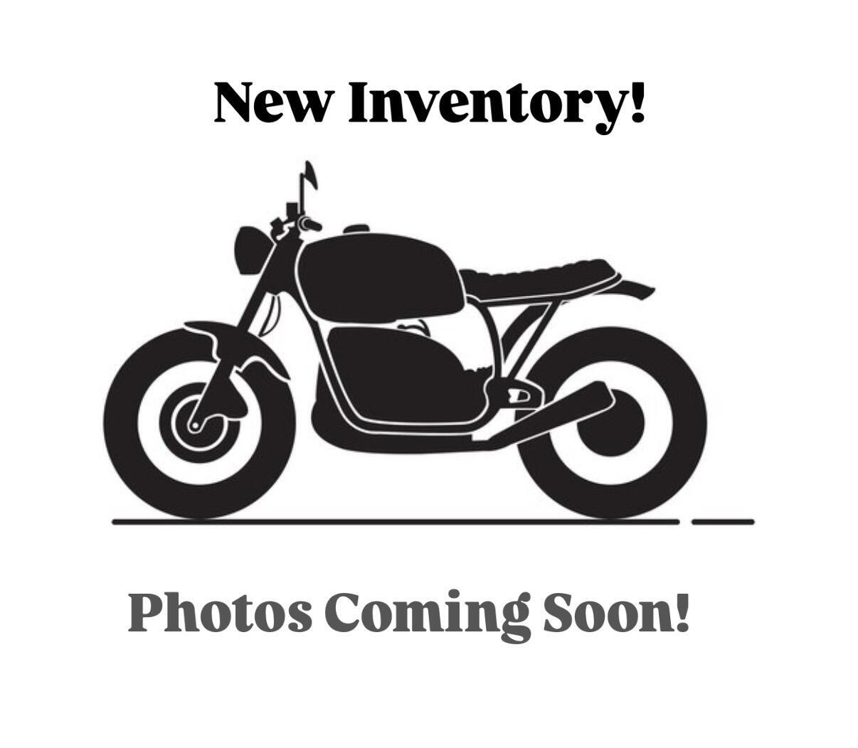 2008 BMW MOTORRAD R 1200 GS Adventure in Grand Junction, CO