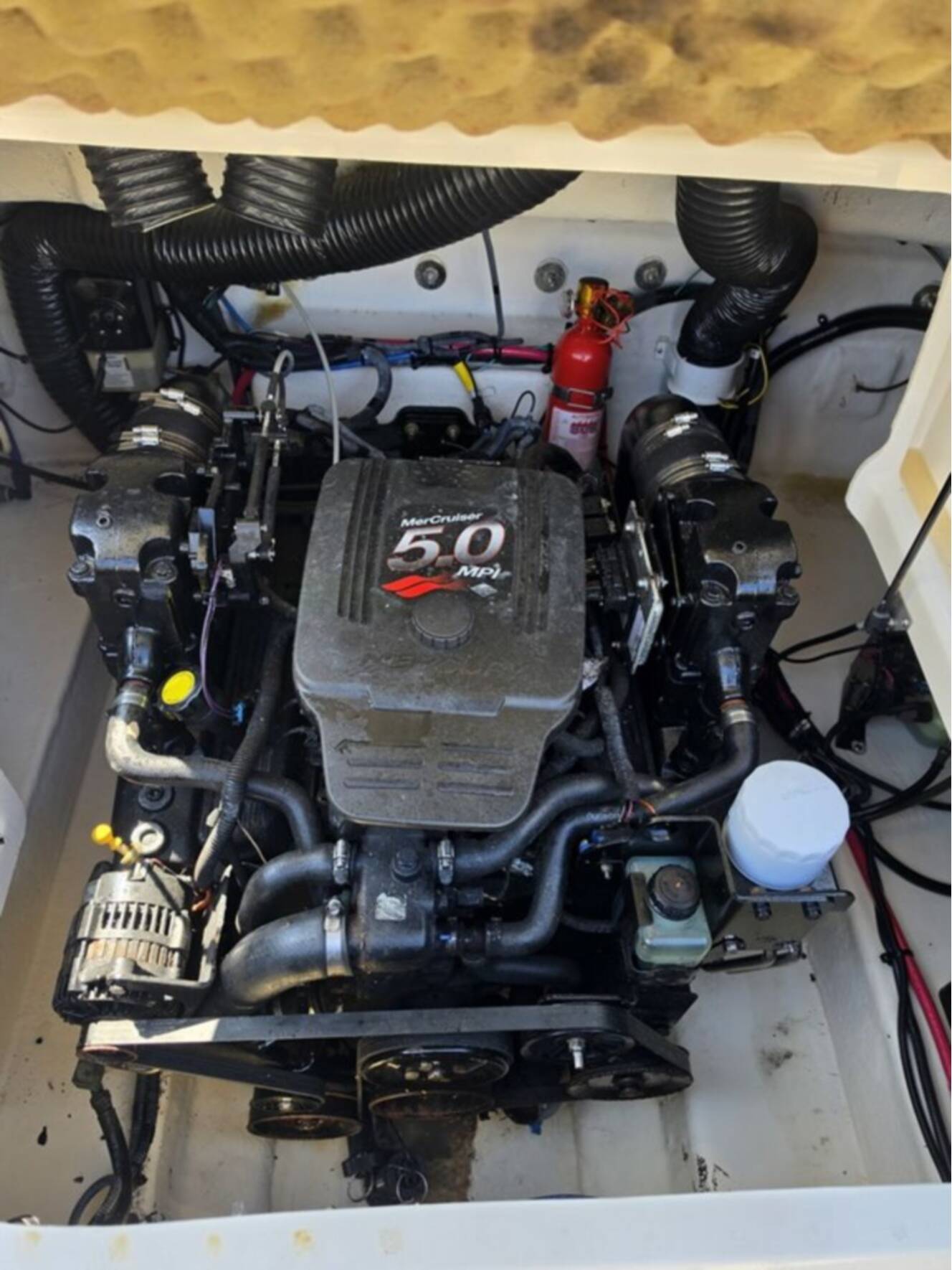 A photo of this 2005 Sea Ray 240 Sundeck
