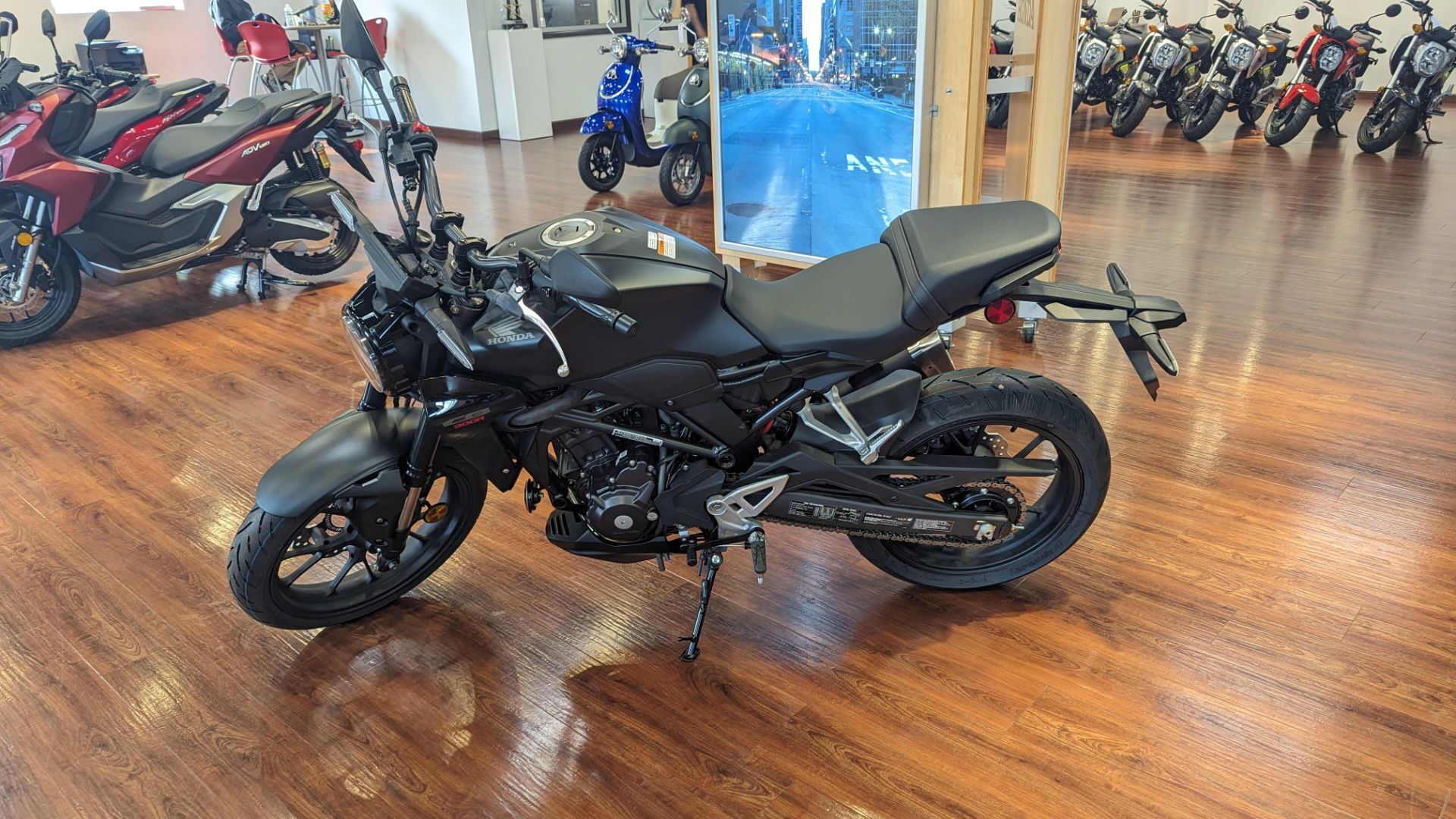 2024 Honda CB300R ABS 300R ABS in Cumberland, MD