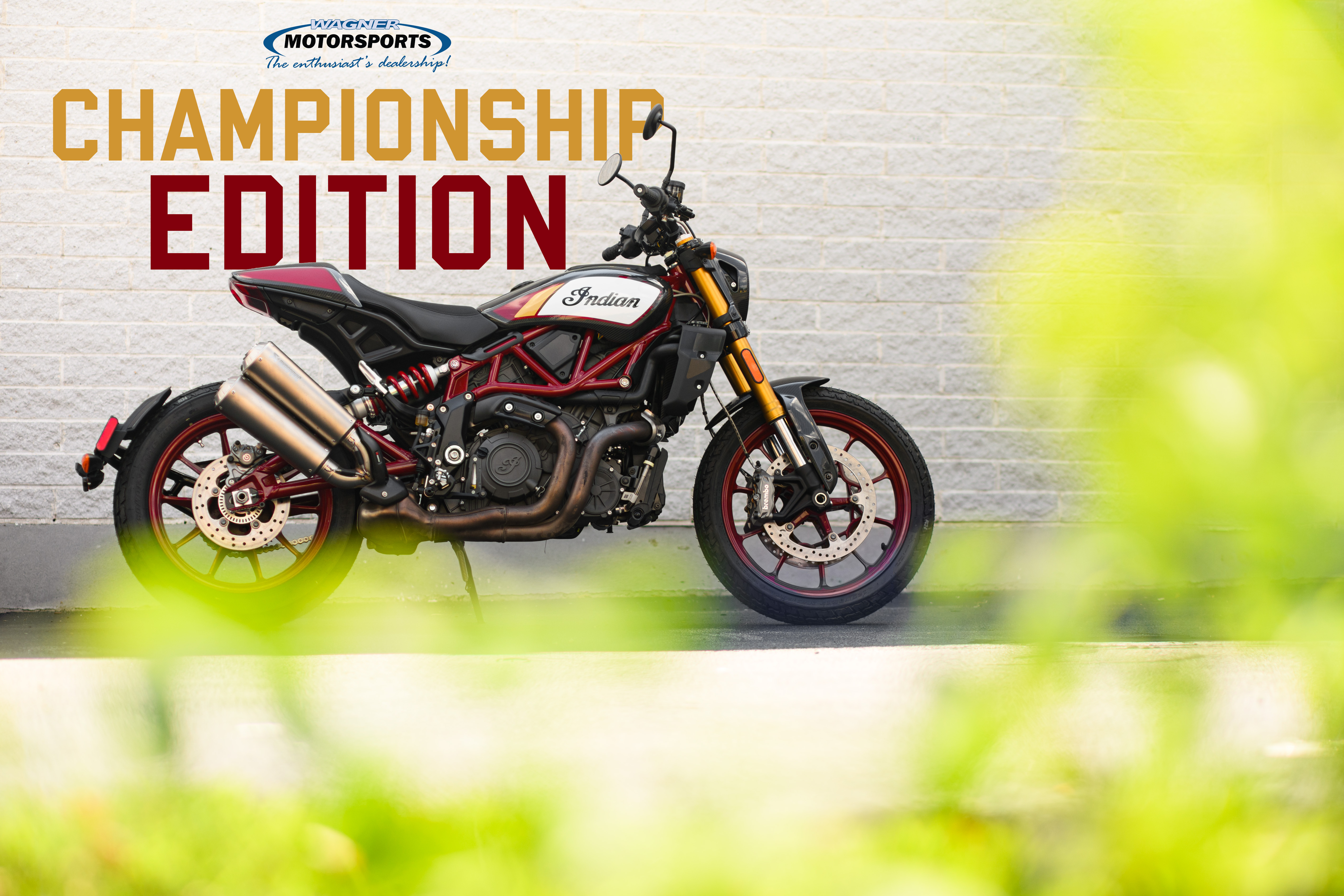 2022 Indian Motorcycle FTR Championship Edition Carbon Fiber with Racing Graph in Auburn, MA