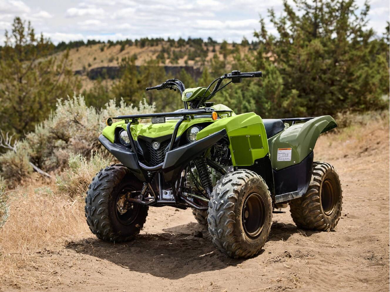 A photo of this 2026 Yamaha Grizzly 110
