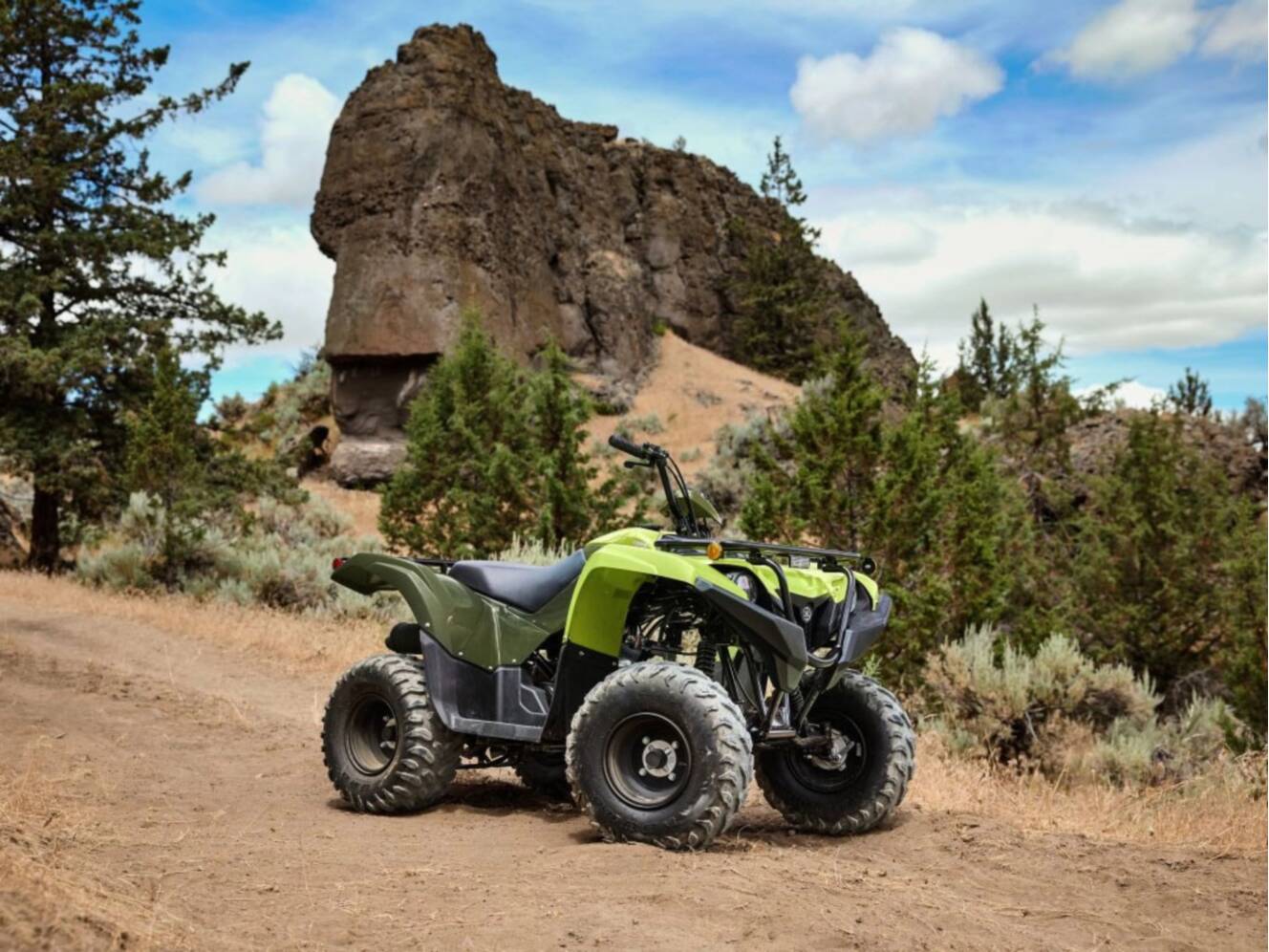 A photo of this 2026 Yamaha Grizzly 110