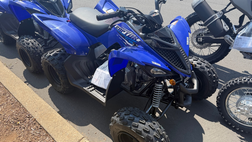2026 Yamaha Raptor 110 in sublimity OR