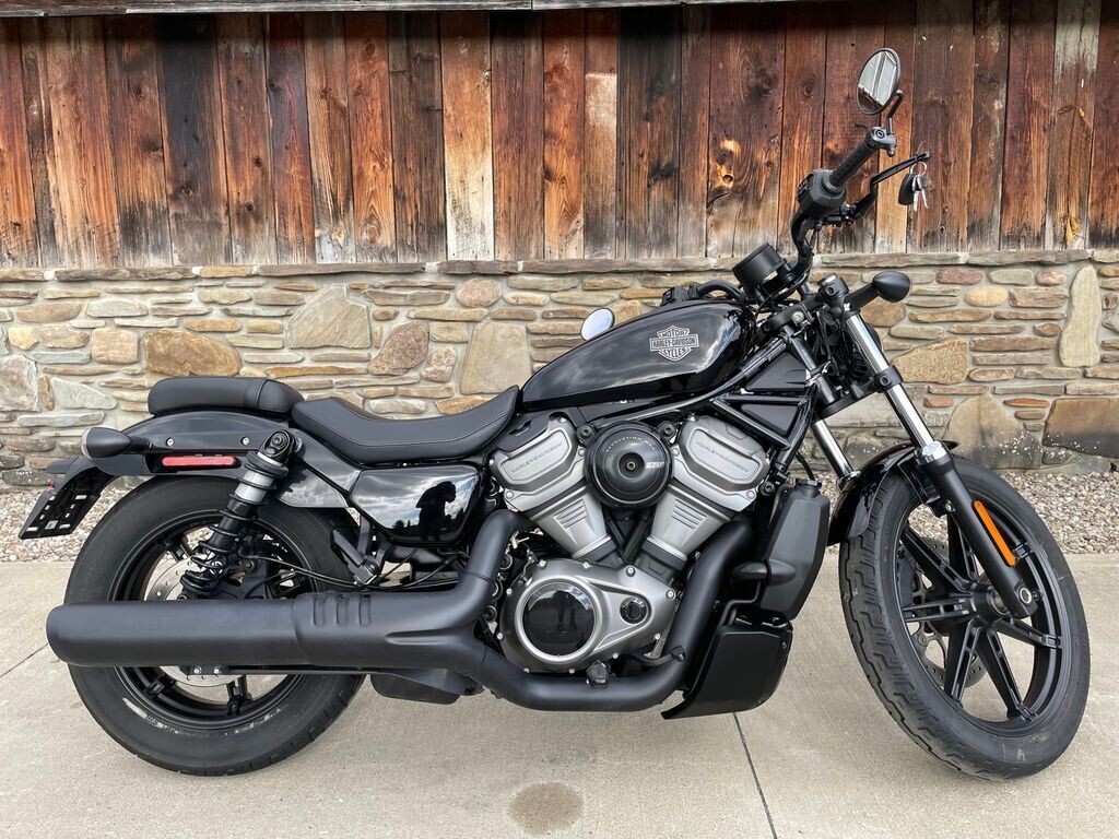 2024 Harley-Davidson Nightster in Hornell, NY