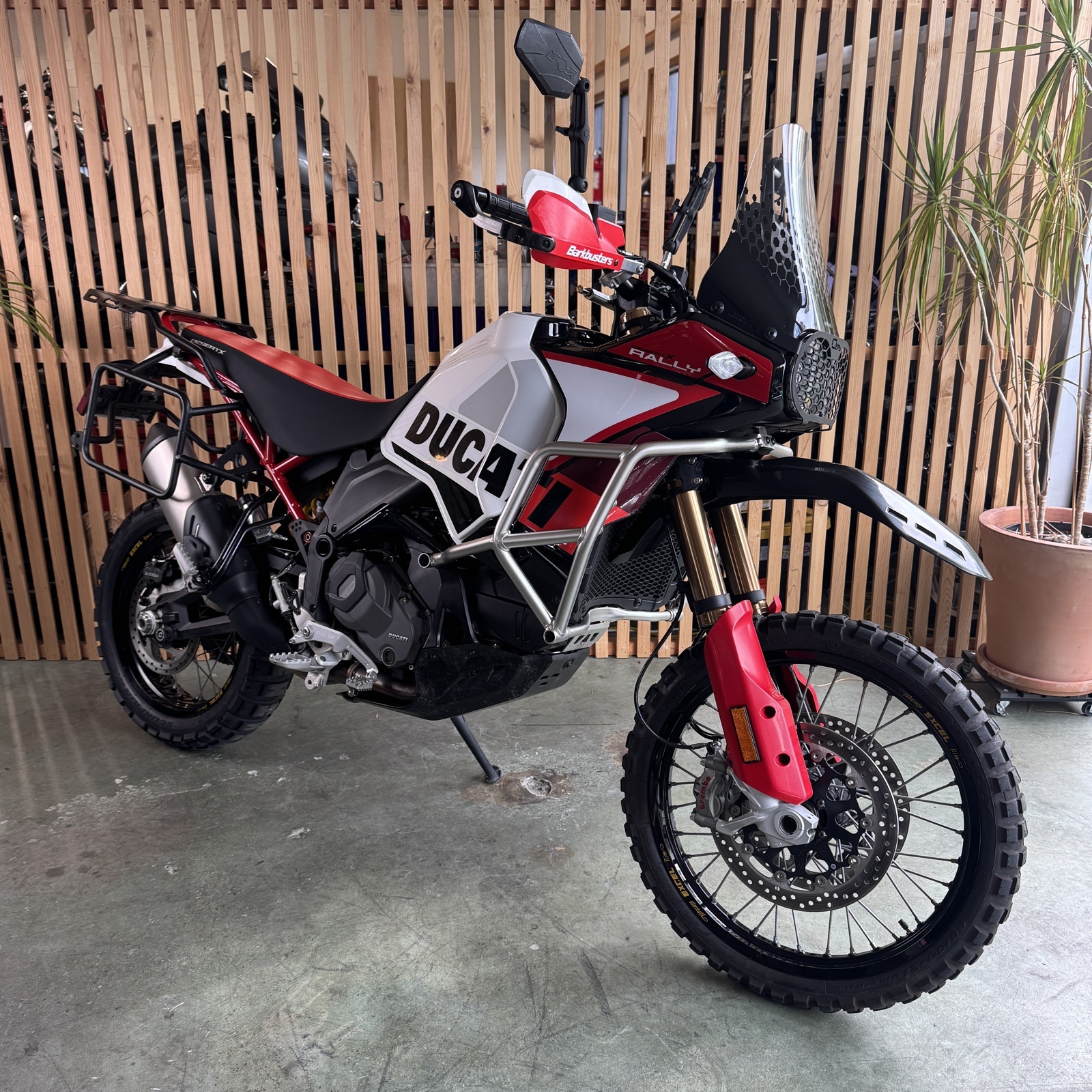 2025 Ducati DESERT X RALLY 937 RALLY in Seattle, WA