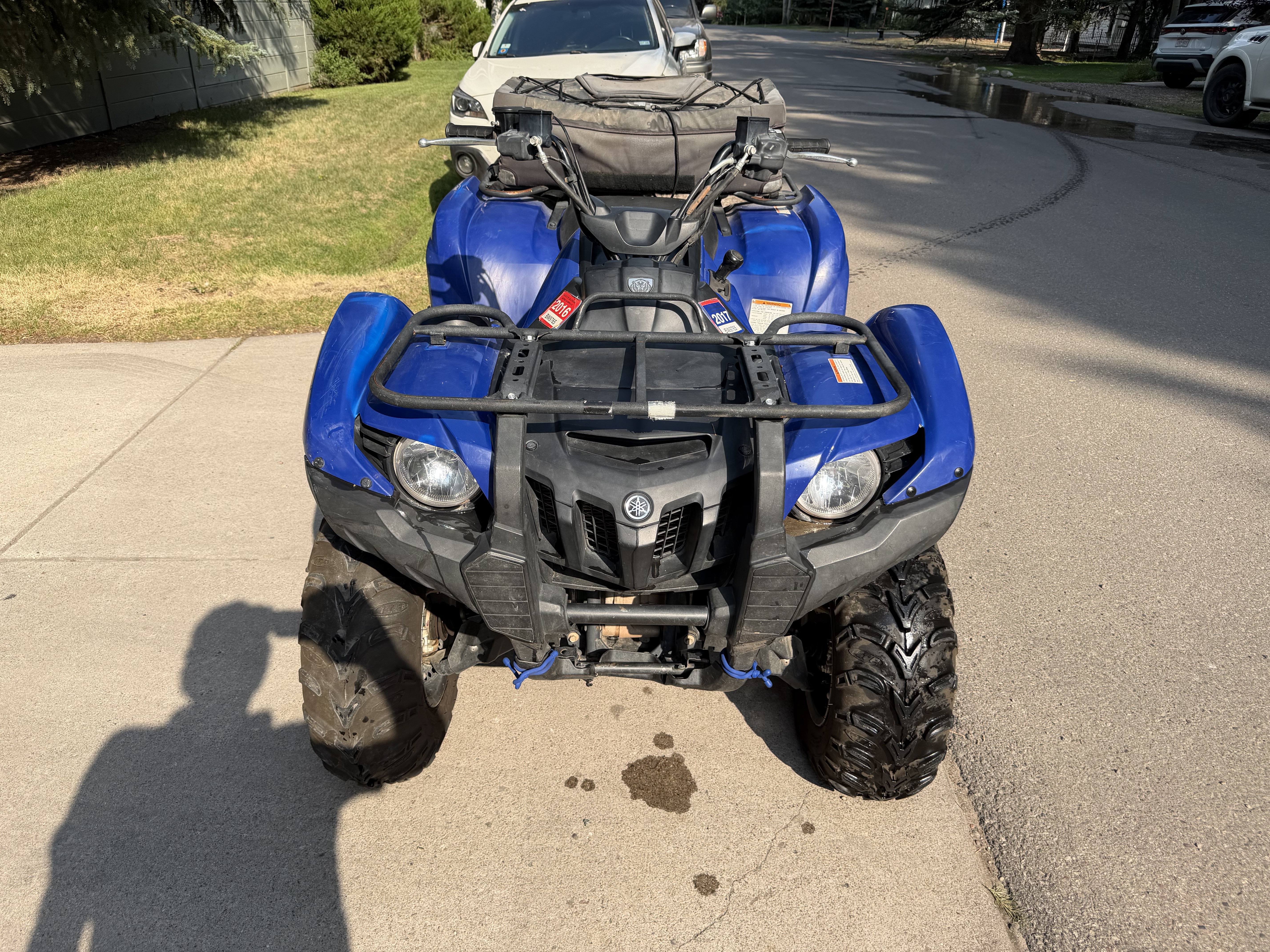 2008 Yamaha GRIZZLY 700 FI AUTO 4X4 in aspen CO
