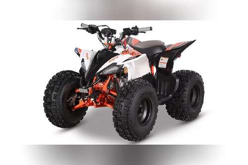 2026 Kayo Predator 125 EFI in baltimore MD