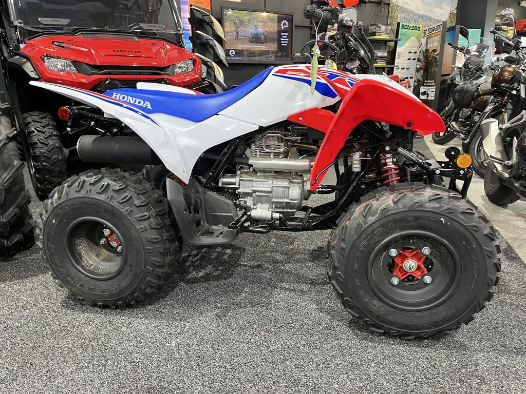 2026 Honda TRX 250X in myrtle beach SC